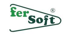 Logo Fersoft